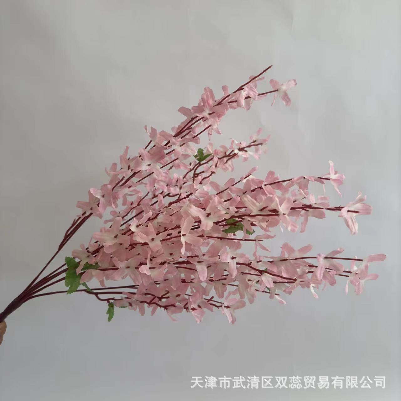 분홍색