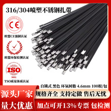 304�������i���P�������ɫ4.6mm���ٽ����Ñ�����|�S�����l