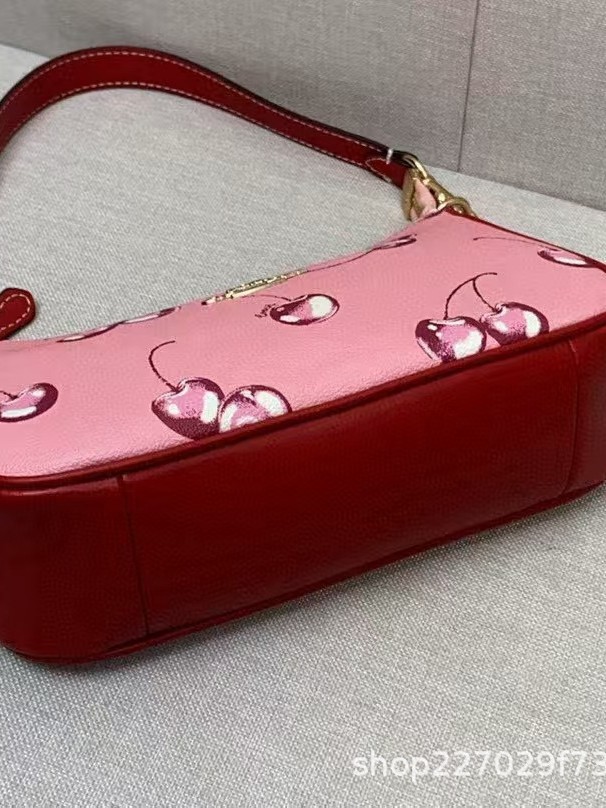 Europa y América Cross-border C Home New Cherry Blueberry Fruit Impreso Bolso Teri Axilas Bolso de mensajero de un solo hombro para llevar