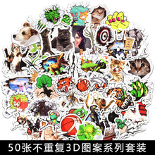 503DwTfNﴩЧbN܇ƿ܇N