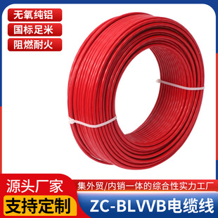 ZC-BLV��|�� �S��ֱ�N��ƽ�����x�����b����|���̽��O����|