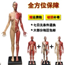 ģ���^�����t���ʅ������ˇ�ù����L�����g���wʯ���^��������