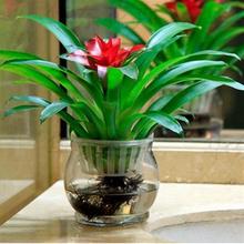 ���\���^����ֲ���P�滨��ˮ�໨�����׼t�ǾG��ˮ�B�҃�