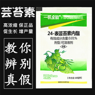 һ��ȫ��24��̦ܿ�؃����̨�؃�ֲ֬�����L�{�����S��С���~���