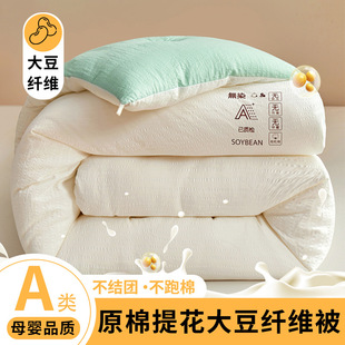 Soybean Fiber Quilt Core Thickened Warm Winter Quilt Single Student Spring and Autumn Quilt Winter Soybean Quilt