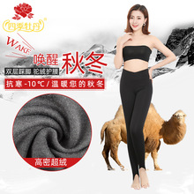 �ļ�ĵ����ůѝŮʿ�ﶬ�к���ܳ��q������_���ѝ����������ѝ