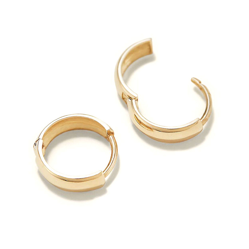 European And American Jewelry Wholesale Geometric U-shaped Earrings Personality display picture 7