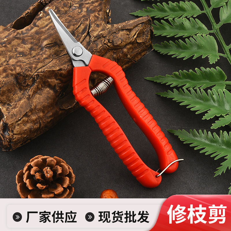 弯头修枝剪不锈钢摘果剪花艺园林剪刀花枝果枝剪树枝剪厂家现货