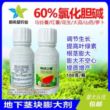 氯化胆碱 大蒜生姜洋葱红薯马铃薯花生药材地下根茎膨大素调节剂