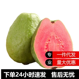 其他水果;块茎类;苹果