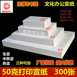 画纸、画布;宣纸;墨水