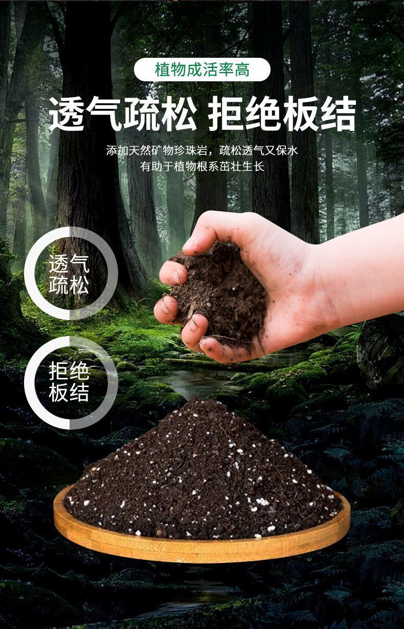 b950bf44-0cfb-48af-b4d4-366c686ed988.jpe