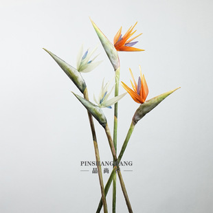 ��֦�Q���m�����B���Q�B�Ꭷֲ��ٻ����滨�Ҿӕ�����c�廨�b�