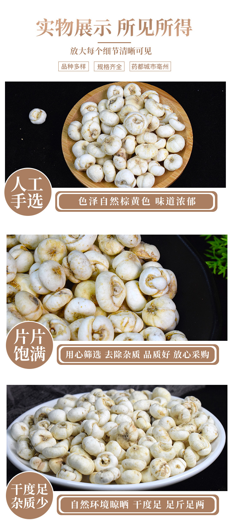 Fritillaria Bulb Chuan Bei Mu Dried Chinese Herbal Bulbs for Decoction and Traditional Use 500g in use