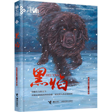 黑焰官方书籍中小学阅读指导目录小学语文六年级下册同步课外阅读