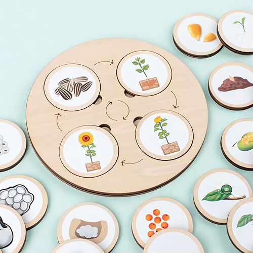 Cross-border  Montessori life cycle pallet wooden enlightenment educational children's diy puzzle toy