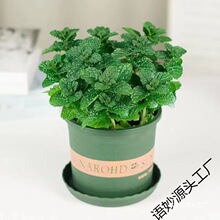 �������Կ�ʳ�Ù��ʱ����~ˮ��ֲ���Ե���Gֲ�҃����Ի��܉�����