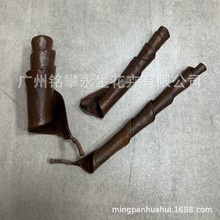 贝塔果卷曲豆壳进口干果干花装饰插花天然植物家居拍摄道具