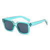 Classic universal trend sunglasses, European style, suitable for import