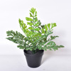 High -quality soft glue fern leafy fern kidney fern grass grass grass grass plant flower box flower trough flower insertion green plants and green plants