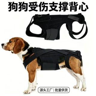宠物护背支撑架 狗狗康复辅助背心 家用防护穿戴用品 厂家直供