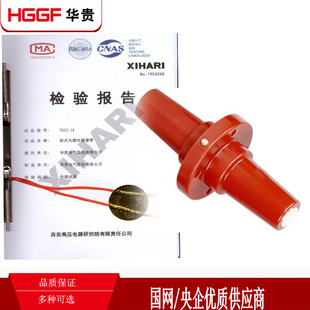 �Wʽ�����׹�TGDJ-12/630�pͨ�׹�254��|��֧��T���^�B�ӹ�10KV