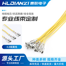 4.8插簧线端子线接插 电路板电子线单根单头导线加工定 制