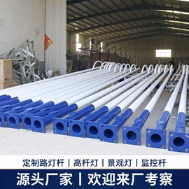 太阳能灯;道路照明灯;庭院灯