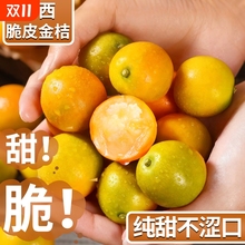 正宗广西脆皮金桔新鲜水果当季摘甜蜜小金柑桔金橘融安特产整箱