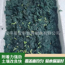 ���B���� ��߅�G��ľ�|�w�S ������ľ�w�S������B�ޏ͹���