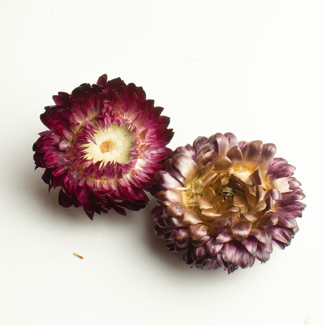 Seven-Color Chrysanthemum Tea 250g Dried Qicai Ju Flowers Loose Herbal Infusion for After-Meal Drinking specifications