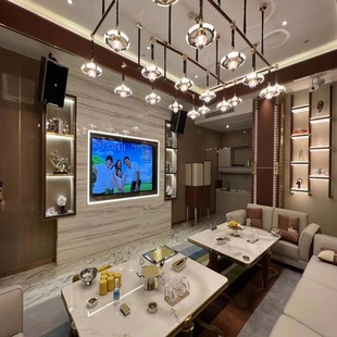 Bar audio ktv suit audio Party KTV audio party Hi room audio DJ dish audio