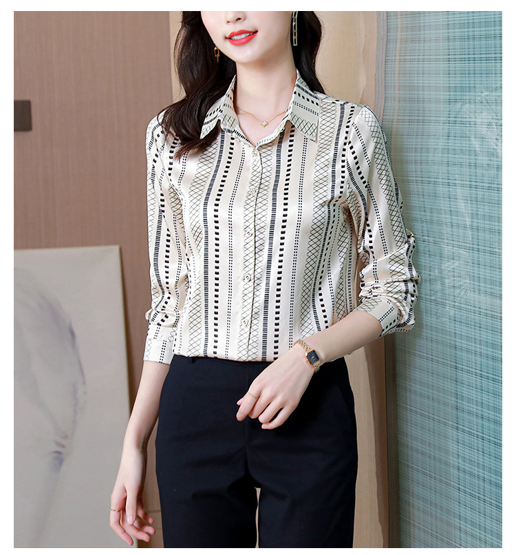 Silk Shirt Image