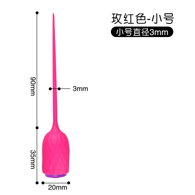 Long Love Discovery Stick-Little Rose Red