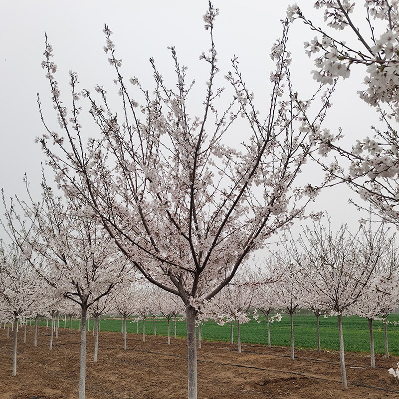 微信图片_202308181457481 副本.jpg