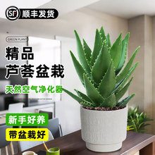 �W�tins�L�J�C���Ը��ֵ���˸����Gֲ���B���k����