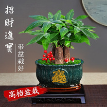 �lؔ���辰�҃Ș��k����ֲ���ļ����G���B�����_�I���Ի�