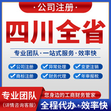 成都绵阳内江宜宾注册公司记账报税注销变更营业执照德阳自贡雅安