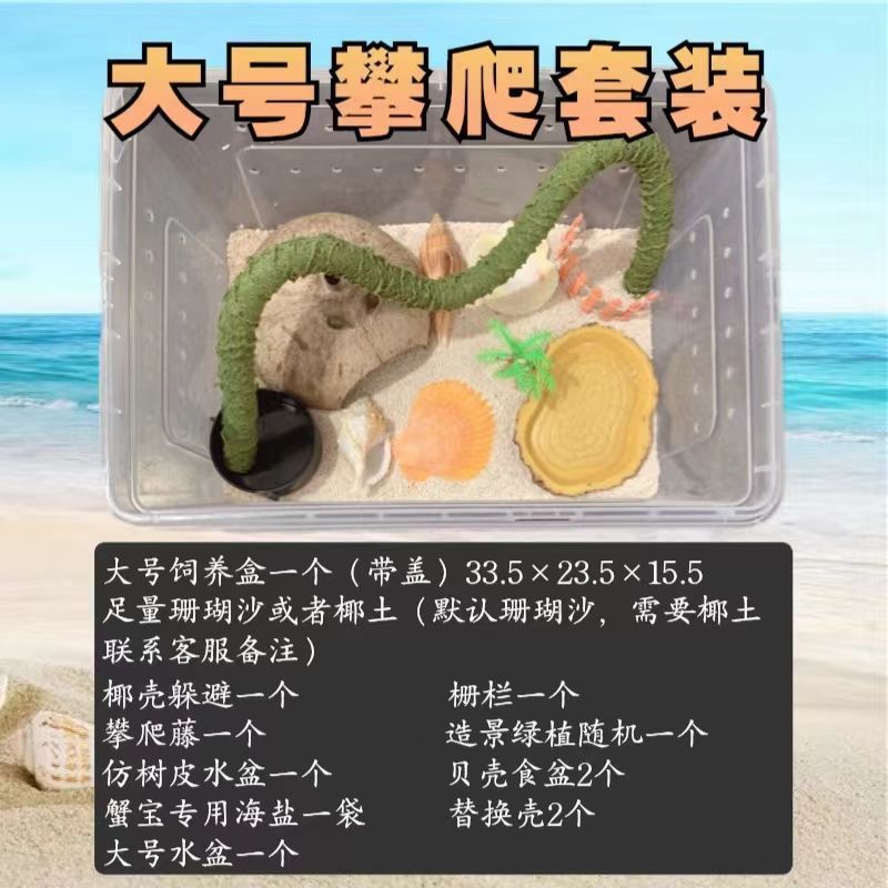 寄居蟹专用饲养爬宠饲养盒昆虫观察盒新手套装饲养缸寄居蟹套餐|undefined