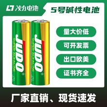 凌力碱性电池5号7号电池AA玩具数码电池AAA计算机读书机鼠标电池
