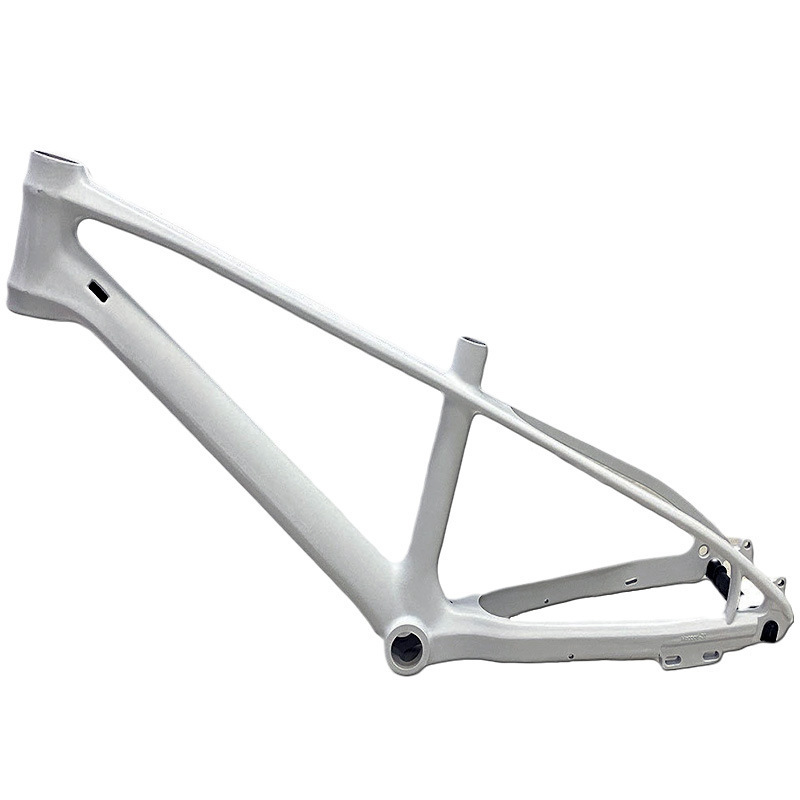 Factory Wholesale 20inch Bicycle Frame Ultra-Light Variable Speed Magnesium Alloy Youth Road Bicycle Frame