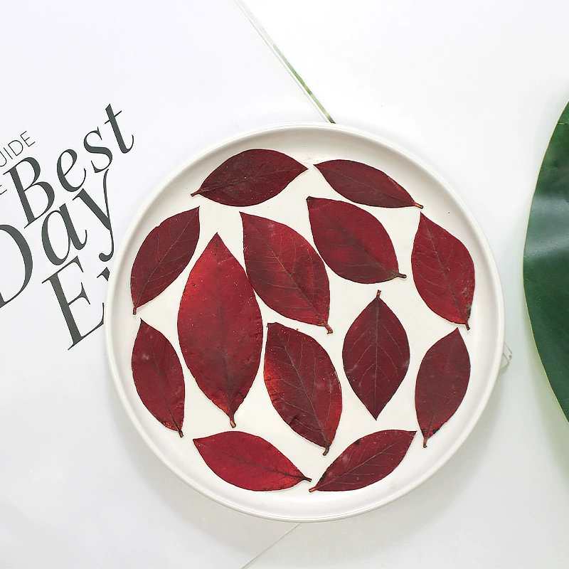 Черничные листья сушеные листья растения наклейка сухой цветок тиснение капель рамка для фотографий закладок diy ручной декоративный материал