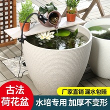 �ŷ��B�~��ͥԺ���ˮ�׼����B���~����ˮ��ˮ��ɻ�˯ɏ��ɏ����