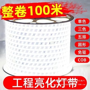 100m Set-Led Light Strip with High Brightness and Dimming for Home Living Room Ceiling Outdoor Horse Racing Light Strip 220Vled Light Strip