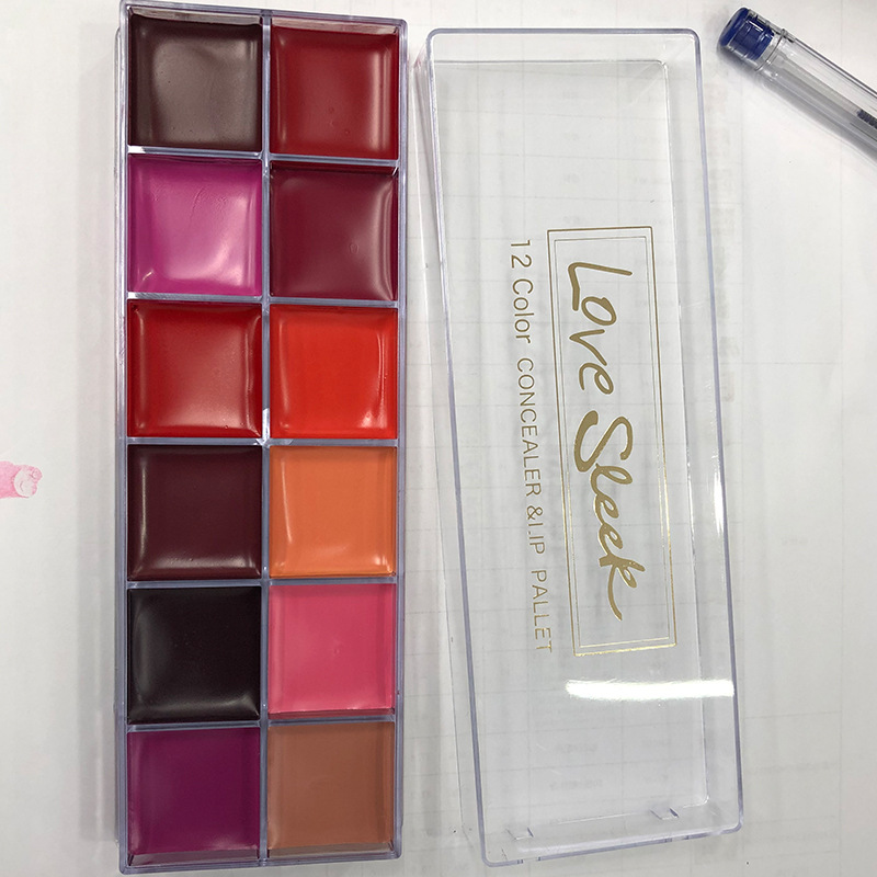 Paleta de lápiz labial de 12 colores, base, bálsamo labial hidratante, paleta de brillo labial, base, corrector, paleta de lápiz labial