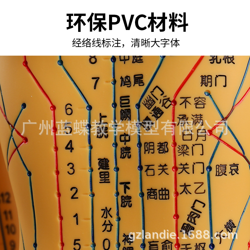 �������ģ���˾���Ѩλ��ҽȫ��ʮ��ͭ��ģ��ͼ��������ϰСƤ��