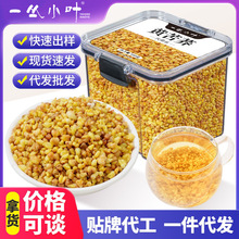 一丛小叶黄苦荞茶四川大凉山黄全胚芽荞麦茶浓香黑苦荞可干吃罐装
