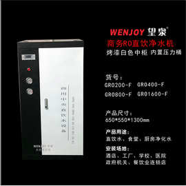商用单位奶茶纯水机反渗透纯水设备400G800G1600G商务直饮水机