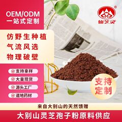 大别山灵芝原产地 25kg袋装金寨仙芝灵破壁灵芝孢子粉原料分级工