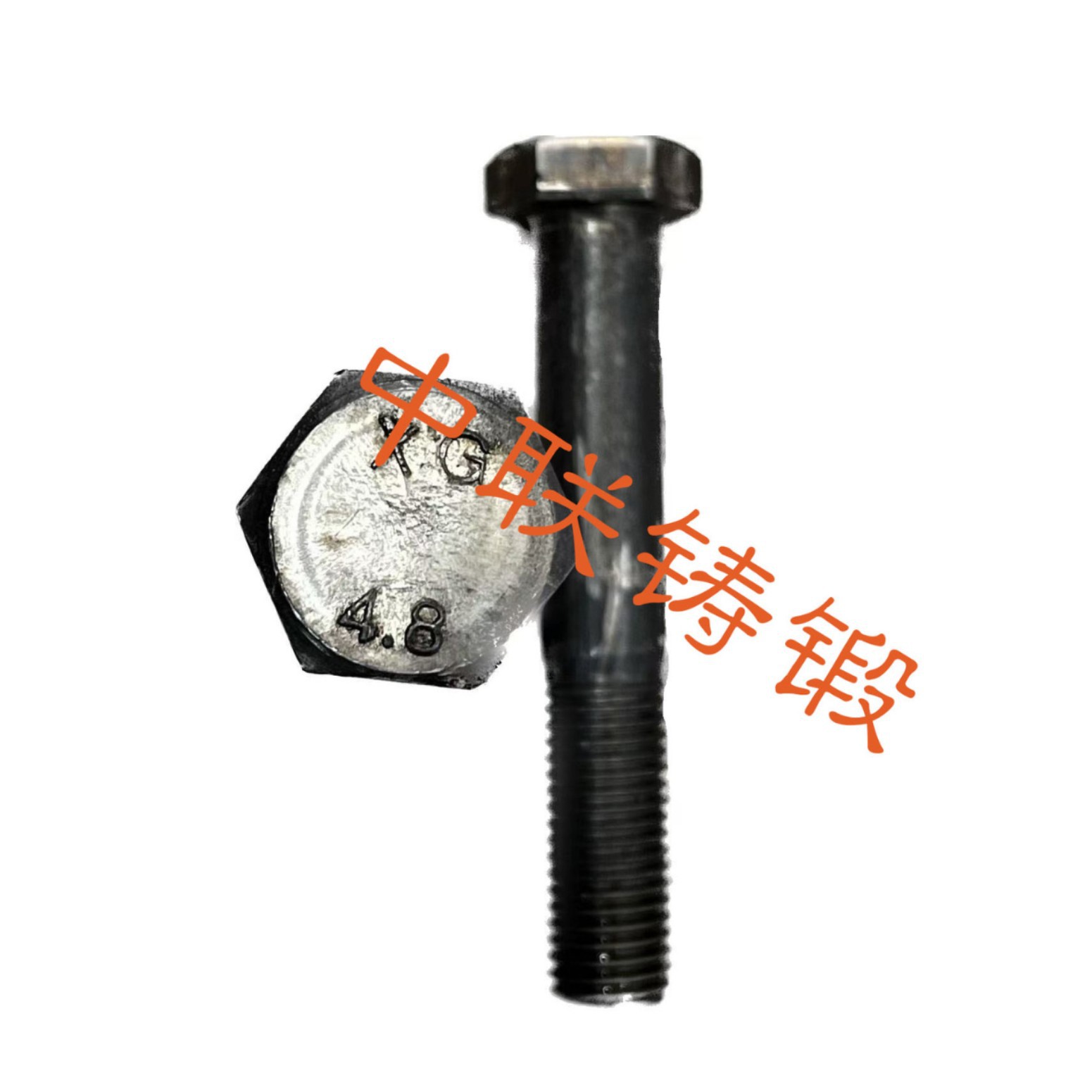 2025-03-22 08:38:57.jpg